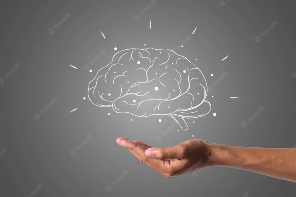 The effect of psychological stress on the human immune system