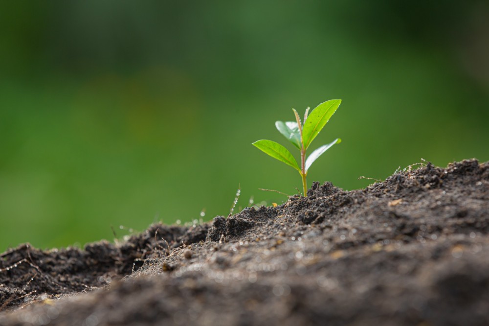 Activity to enhance psychological resilience in human life