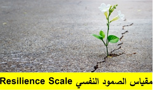 مقياس الصمود النفسي   	Resilience Scale (GBC-10)