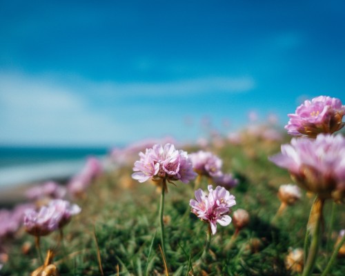 Every day is Mindfulness